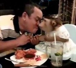 imagen A falta de hija bueno es un mono