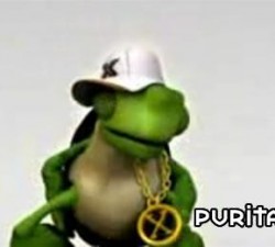 imagen tortuga rapera