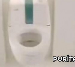 imagen el wc moderno