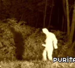 imagen un fantasma muy fantasma