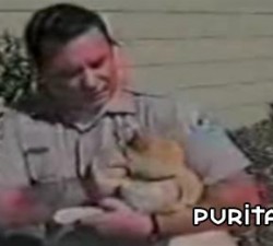 imagen deja en paz al gato