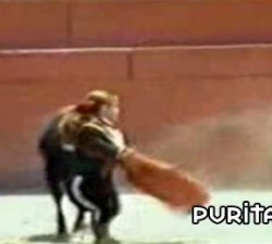 imagen no a las mujeres toreras
