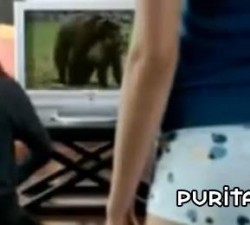 imagen las apariencias engañan