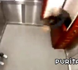imagen un ataud en el ascensor