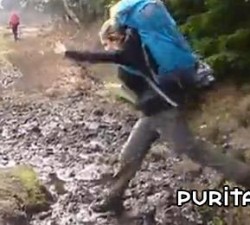 imagen juegos de cerda