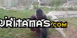 imagen gorila rompe el cristal de proteccion