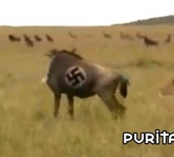 imagen dando un sentido a la muerte