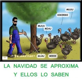 navidad