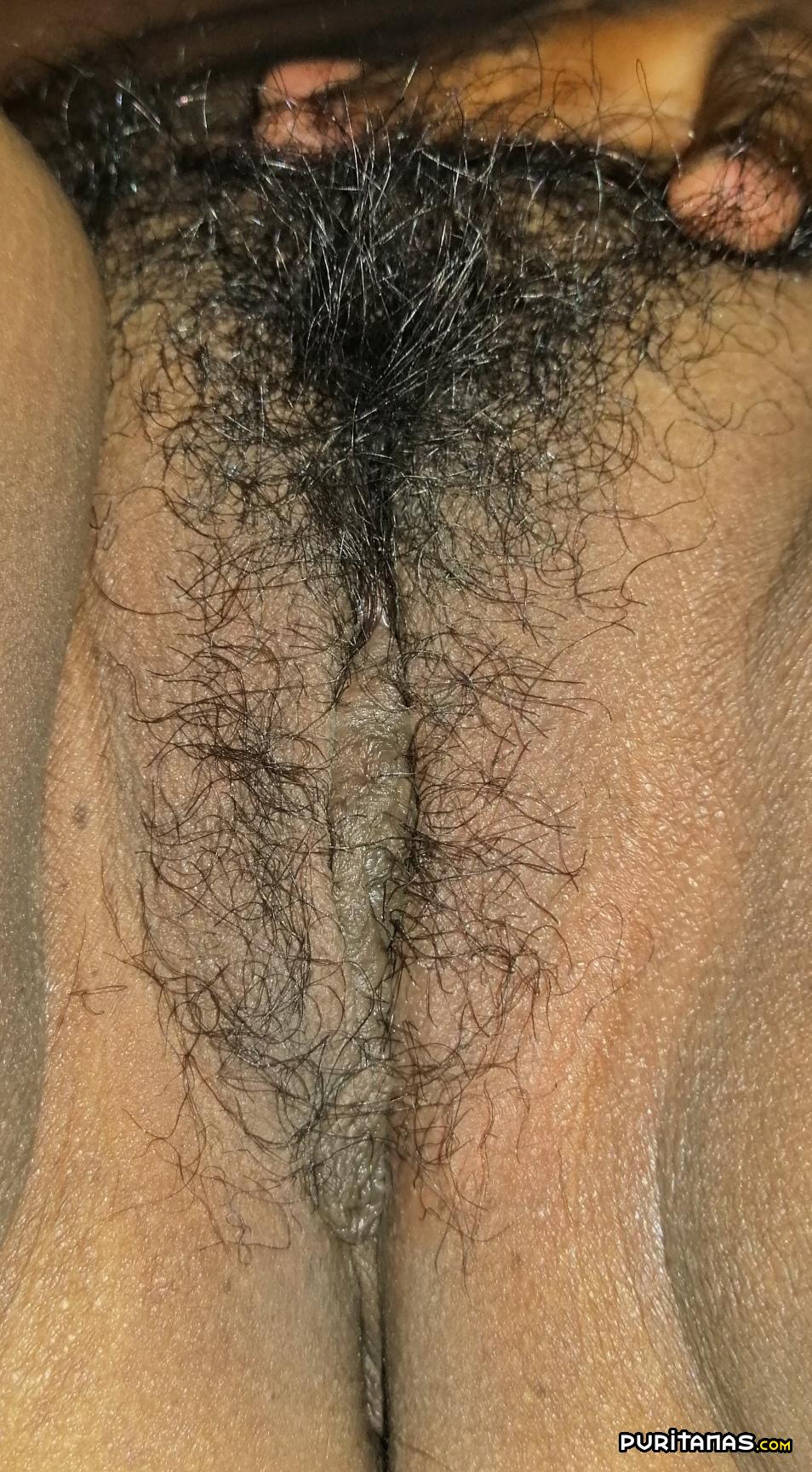 coños velludos